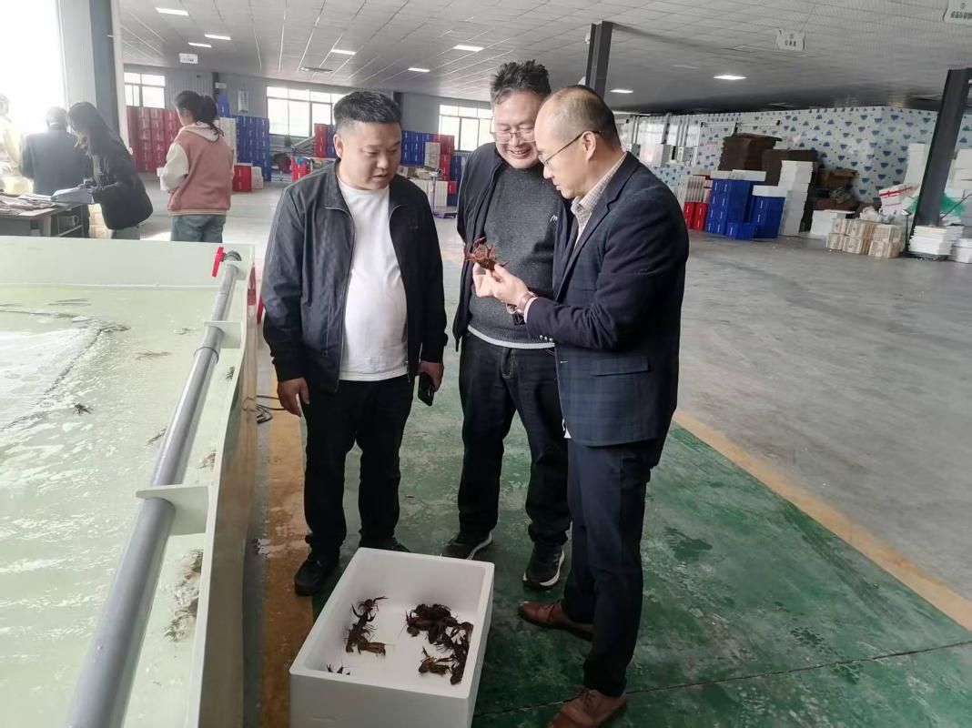 小龙虾研究团队赴资阳指导稻虾产业发展