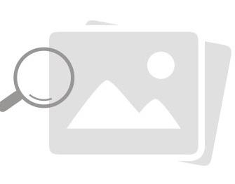 英国365上市公司召开本科生党员座谈会